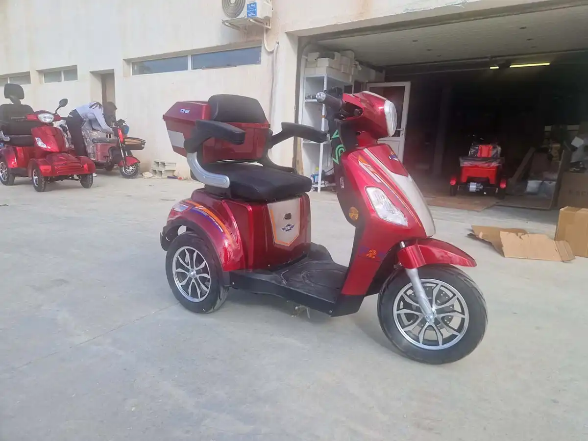 Електрическа Триколка MAXI LUX 5